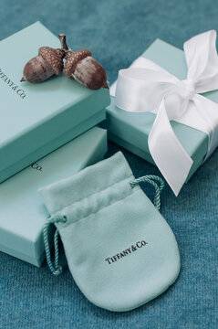 Several Brand Tiffany boxes, a pair of acorns and velvet pouch.