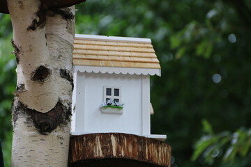 Herzlich Willkommen im kleinen Vogelhaus, Nistkasten in der Natur an einer Birke