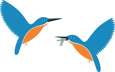 Kingfisher bird logo. Isolated kingfisher bird on white background