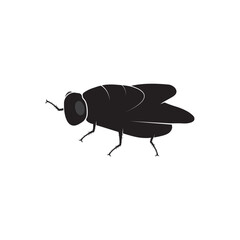 flies icon vector illustration template