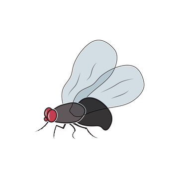 flies icon vector illustration template