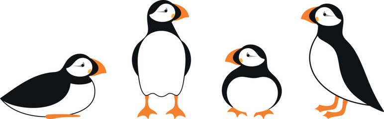 Atlantic puffin logo.  Isolated puffin on white background