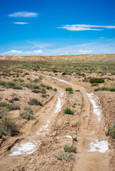 The Salt Covered Roads of Coal Mine Canyon