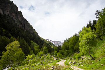 Fototapeta na wymiar The hiking trail through coniferous and deciduous forest and mountain landscapes. Summer greenery. Gorgeous view of the mountain range and beautiful blue sky background. Wild virgin nature.