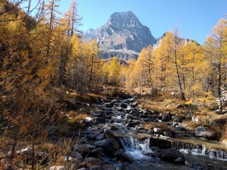 Fototapeta na wymiar autumn river under the lonely mountain