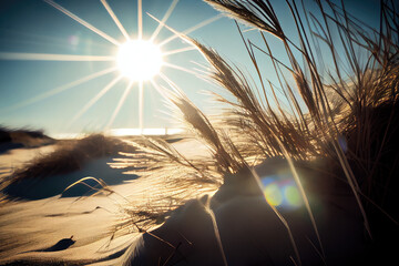 Fototapeta Beach grasses on the seashore shot into the sun lens flare. obraz