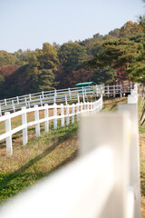 nature life with building or landscape