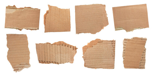 Torn pieces of corrugated cardboard / 
transparent background