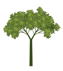 Obraz premium Green Tree Isolated. Plant and Vector Illustration.