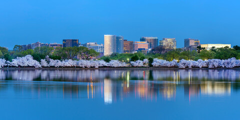 Fototapeta na wymiar Government and corporate of Rosslyn, VA with cherry blossom reflecting in Tidal Basin in sunrise, USA