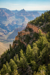 Treelined Cliff at Grand Canyon National Park