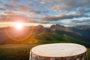 Tree trunk on beautiful nature background