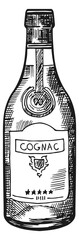 Cognac bottle sketch. Hand drawn alcohol drink