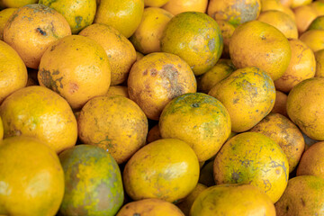 Medan oranges sold at the fruit shop