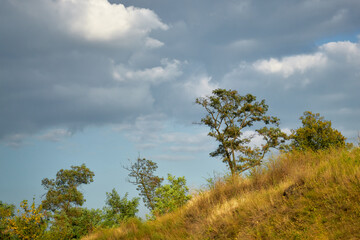 Trees on a steep hill in October against a blue sky.