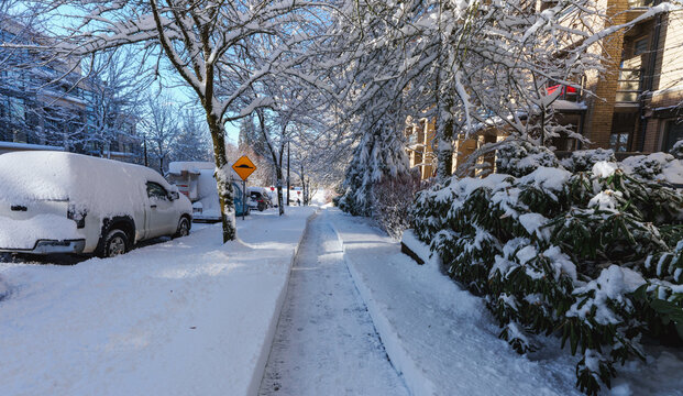 Footpath cleared through the snow with admirable precision during late winter snowfall at UniverCity Highlands, Burnaby Mountain, BC.