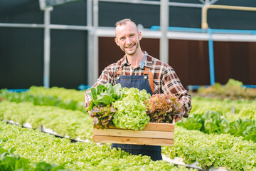 Hydroponic vegetable garden owner Caucasians are harvesting fresh organic salads. in the greenhouse vegetable garden Check the quality of vegetables and record the growth of hydroponic vegetables.