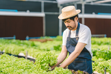 Owner of a hydroponic vegetable garden Check the quality of vegetables and monitor or record the growth of hydroponic vegetables. greenhouse vegetable garden