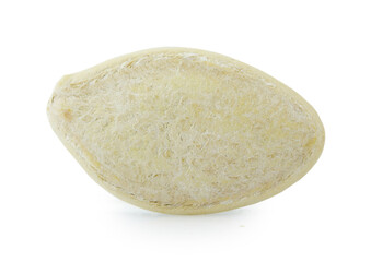 pumpkin seed isolated on white background