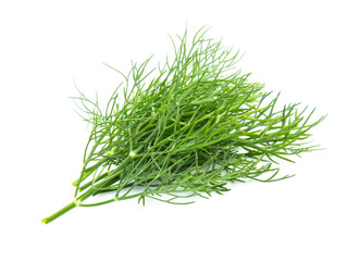 fresh dill green isolated on white background