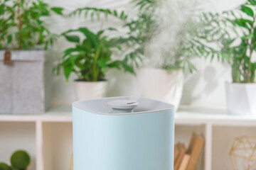 The ultrasonic humidifier releases cold steam. Care and hydration of plants in dry air. Humidifier in the bedroom for cough and dryness.