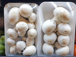 Fresh mushroom for sale in supermarket. 