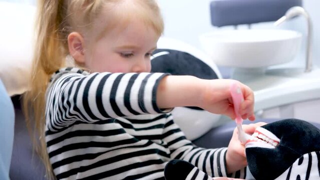 little girl 4-6 years old brushing her teeth soft toy jaw demonstration children proper brushing of teeth Zebra and girl instriped blouse white and black child care education study pediatric dentistry