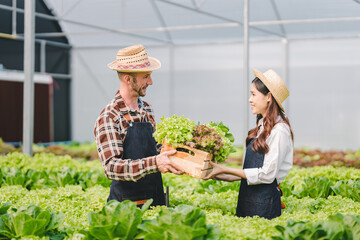 Hydroponic vegetable garden owner man and woman couple harvesting fresh organic salad in greenhouse vegetable garden..Check the quality of vegetables and record the growth of hydroponic vegetables.