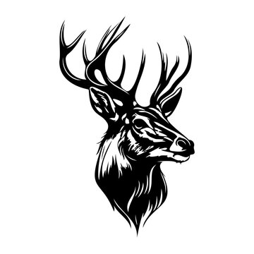 recommend clip art: Deer Face, Silhouettes Deer Face SVG, black and white Deer vector