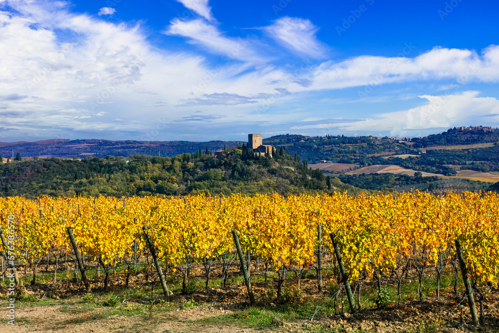 Wall mural italy, toscana scenery . golden vineyards of tuscany. panorama of medieval castle and yellow grapewi