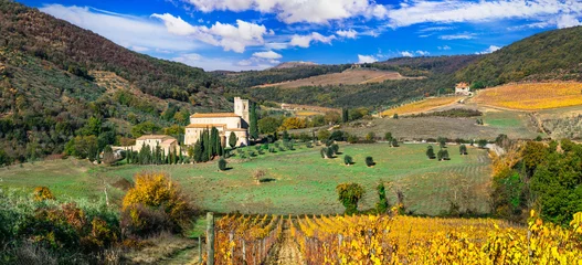 Poster Italy, Toscana autumn scenery . Golden vineyards of Tuscany.  panorama of old monastery and yellow grapewines. © Freesurf