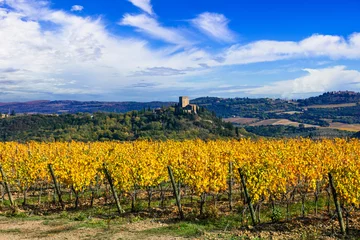 Poster Italy, Toscana scenery . Golden vineyards of Tuscany.  panorama of medieval castle and yellow grapewines. © Freesurf