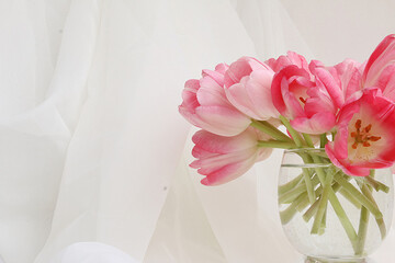 Springtime bouquet of fresh cut pink tulips in a clear glass vase in front of a softly draped white fabric background that has been intentionally offset in the frame to create copy space
