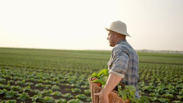 Portrait of young caucasian male farmer man worker holding box basket of organic nutrition fresh vegetables looking at camera sunset field outdoor. Close up Concept harvest farming agriculture farm 