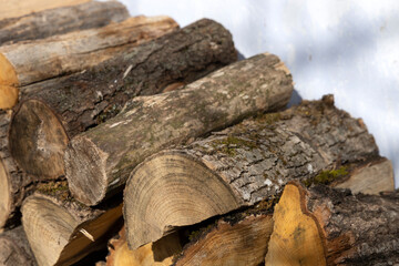 A pile of firewood harvested