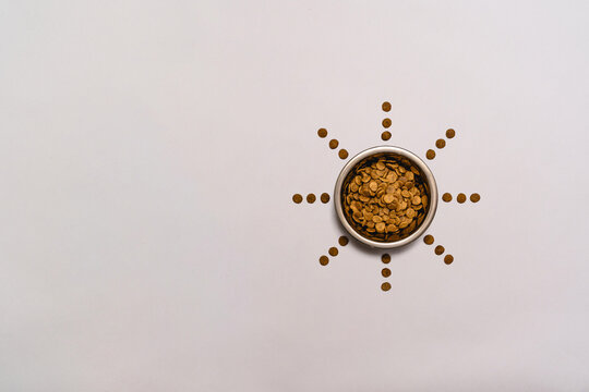 Dog bowl with dog food and a star shape pattern around it with copy space. Isolated on a gray background