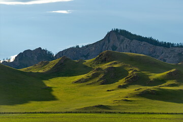 Fototapeta premium Russia. South of Western Siberia, Mountain Altai. Picturesque hilly mountains covered with a solid green carpet with many alpine flowers near the village of Ust-Kan.