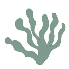 hand print on white background seaweed ocean plant under water plant green hand draw