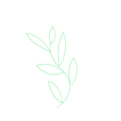 abstract handdraw leave branch blue   isolated element flower