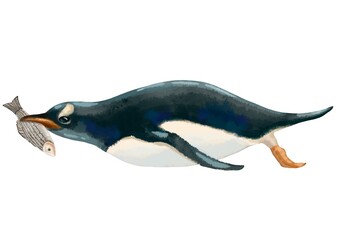 Color illustration of a penguin lying on its stomach with a fish in its beak