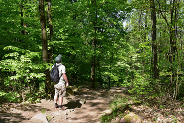 Obraz premium Hiking along the Himmelsleiter trail, down the Königstuhl hill, Heidelberg, Beautiful medieval city in Germany
