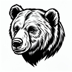 black and white bear head Illustration - obrazy, fototapety, plakaty