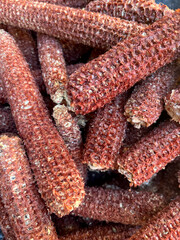 Closeup of pile of red corn cobs with selective focus on foreground