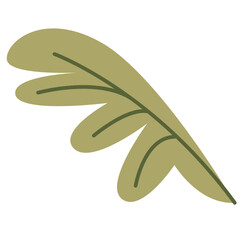 Flower plant botanical decoration