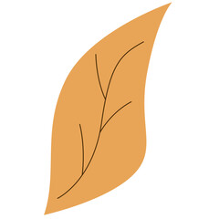 Flower plant botanical decoration