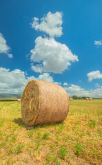 Hay bail harvesting in golden field landscape, south Sardinia
