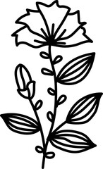 Natural, line art design element with black thin line. PNG with transparent background