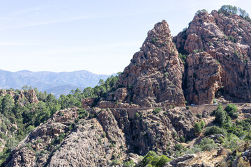 Carretera sinuosa entre montañas con arboles y cielo azul