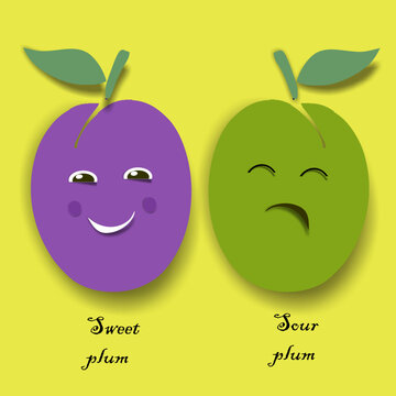 Sweet Ripe Plum, Sour Green Plum. Vector Illustration.