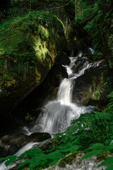 Fototapeta premium walking along the river of Austria